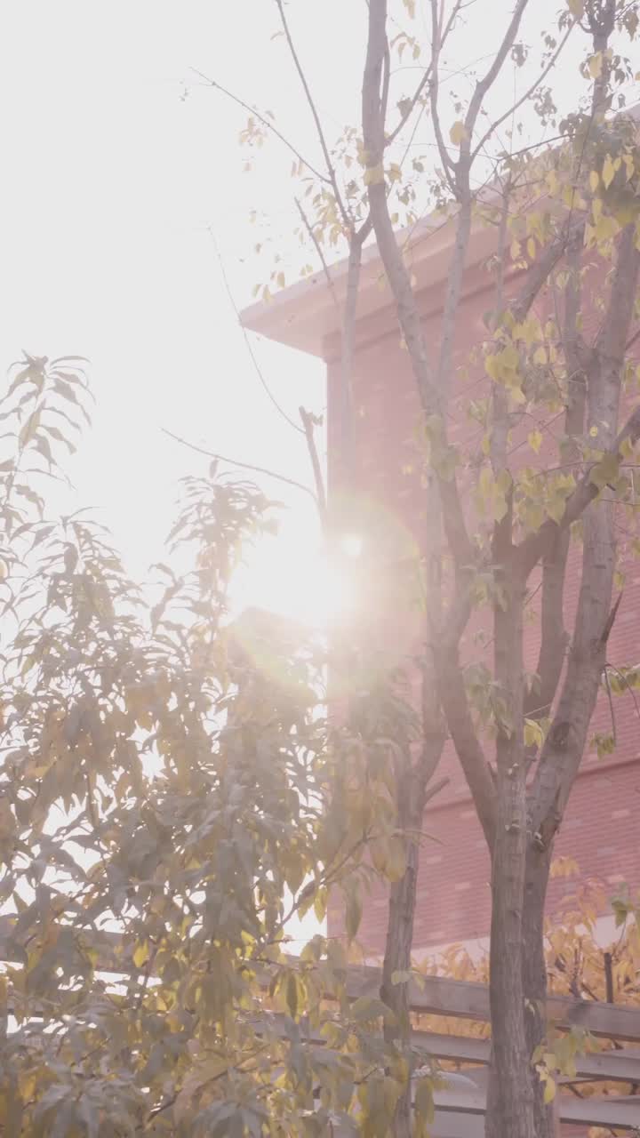 previewEpisode 2