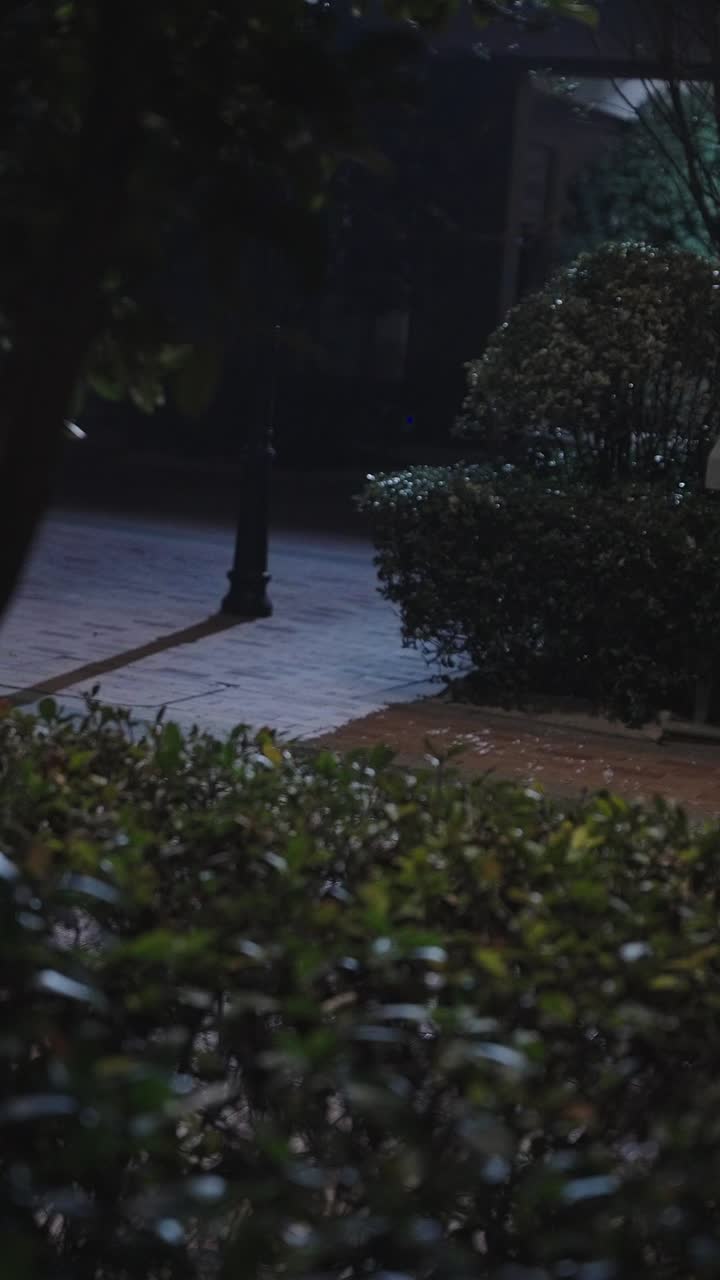 previewEpisode 15